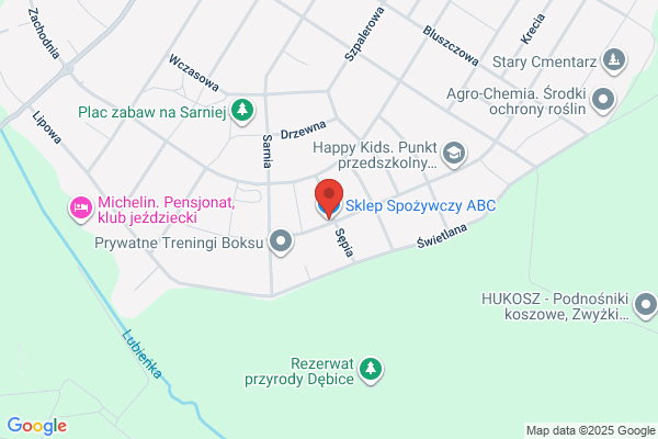Debowy Józef. Sklep spozywczy