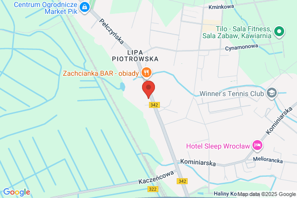 Edbus. Przewóz osób. Busy, autobusy. Stencel L.