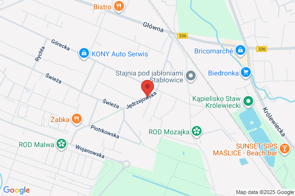 Olbert Czeslaw. Przewozy autokarowe