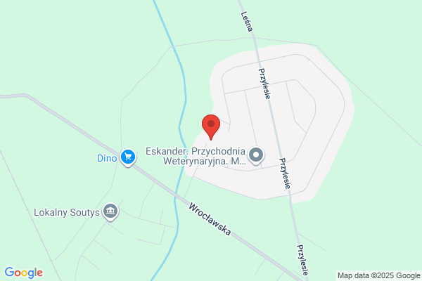 Naja. Zaklad elektroniki. Kawecki J.