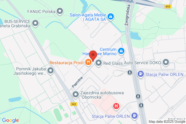 Paprotka. Bar
