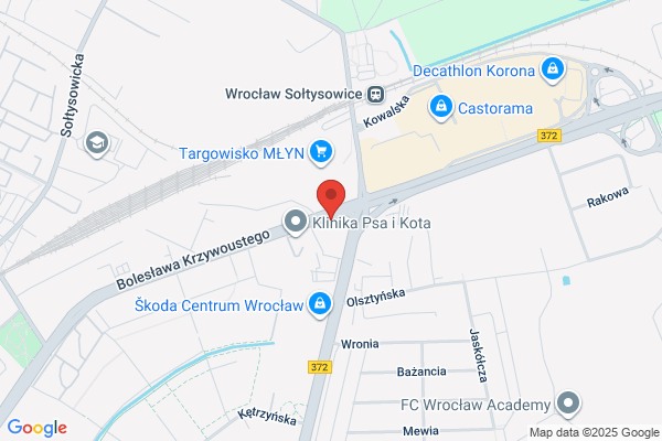 Wroclaw Brucknera