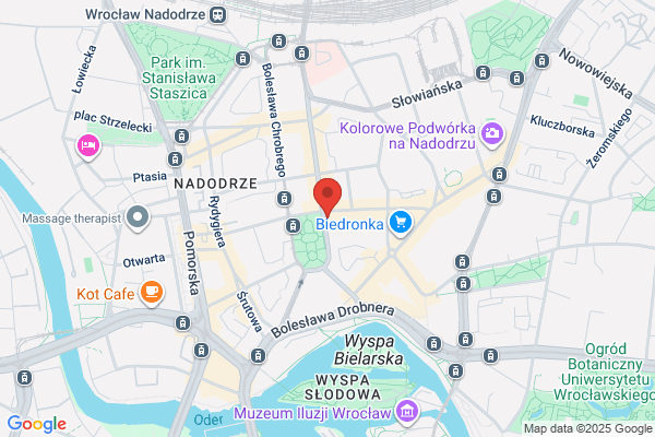 Academia Nova. Galeria, pracownia