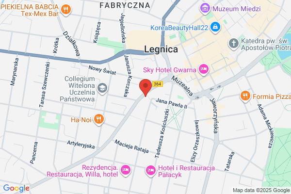 Archi-Geo. Geodezja i kartografia. Szczecinski D.