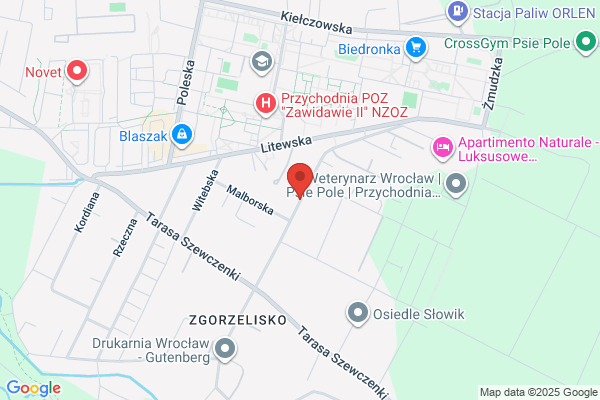 M. Ostrowski. Sp.j. Instrumenty muzyczne