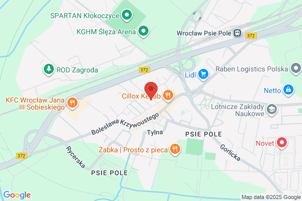Próchniak Rafal. Uslugi internetowe