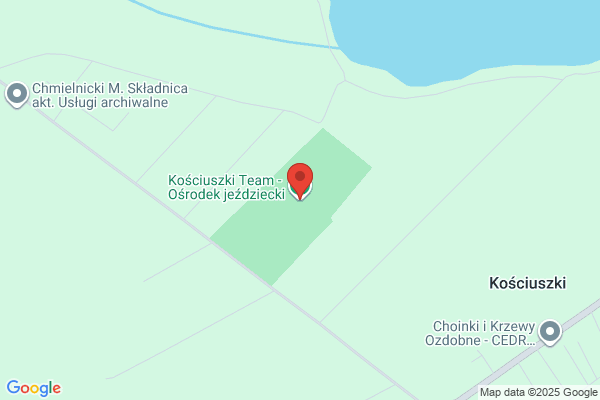 Szalony Kon