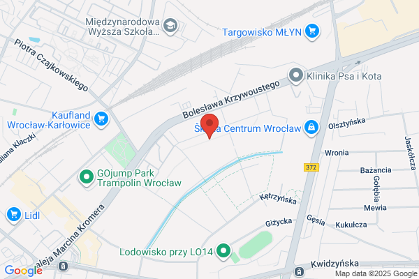 Help System. Obsluga informatyczna firm
