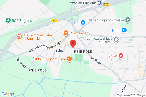 Azalia. Wiazanki okolicznosciowe. Poczta kwiatowa