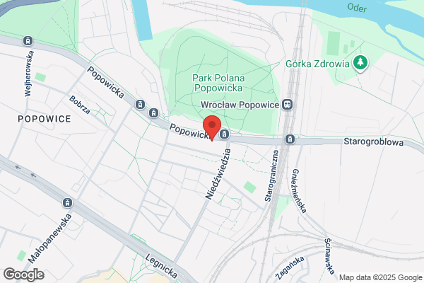 AM. Optyka okularowa. Wystyglo M.