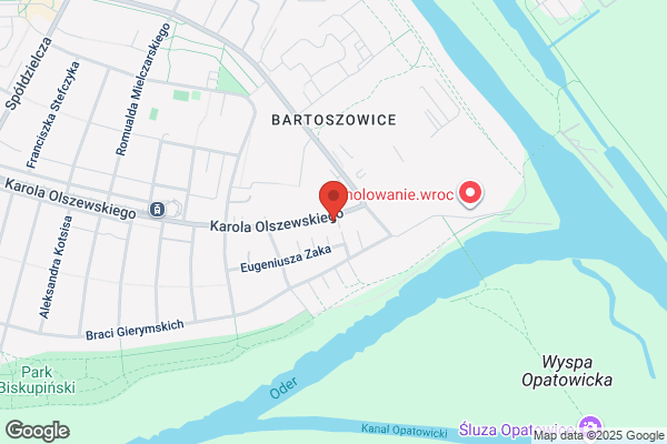 Zwolinska Danuta, prof. dr hab. nauk med. Spec. pediatra i nefrolog