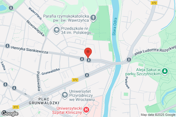 Regionalna Dyrekcja Lasów Panstwowych