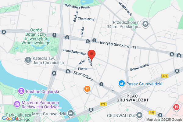 Dominika. Magiel elektryczny