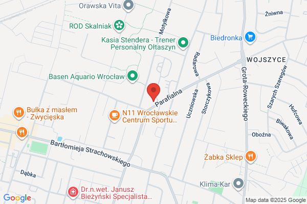 Optimenada. Kaczmarczyk P.