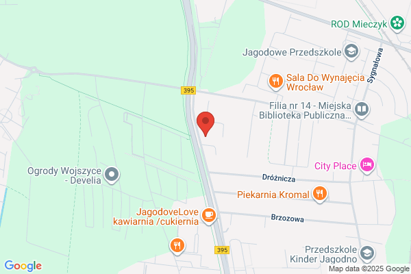 Karasinski J. Produkcja art. medycznych