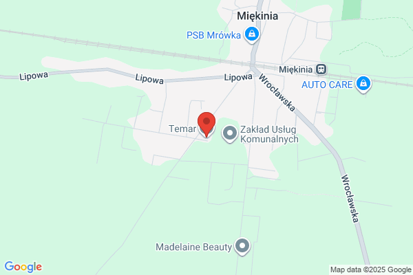 Temar. Zaklad Mechaniczny. Majewski J.