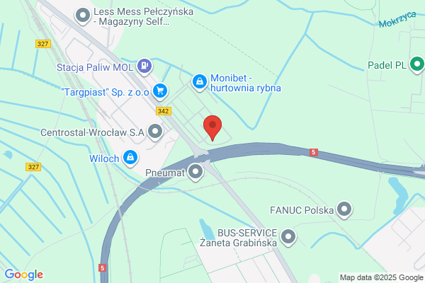 Mango. Hurtownia owoców cytrusowych i warzyw. Radzin P.