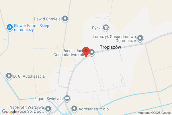 Teresa. Sprzedaz owoców i warzyw. Kocon T.