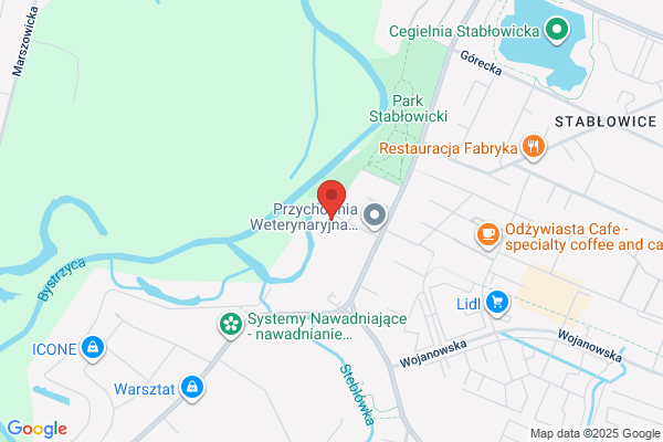 Dobry Ton. Firma artystyczna. Kazubski M.