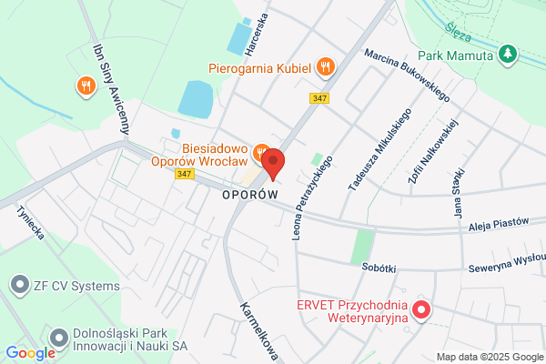 Kostium. Uslugi plastyczne. Bakalarczyk B.