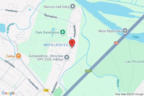 M. Lech. Lech-Drzewiecka M.