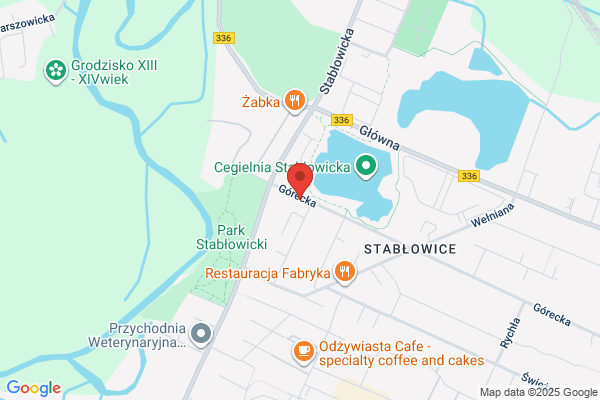 Tomkiewicz Henryk. Parkiety, kleje, lakiery