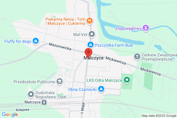 Szafranski Mateusz. Protetyka