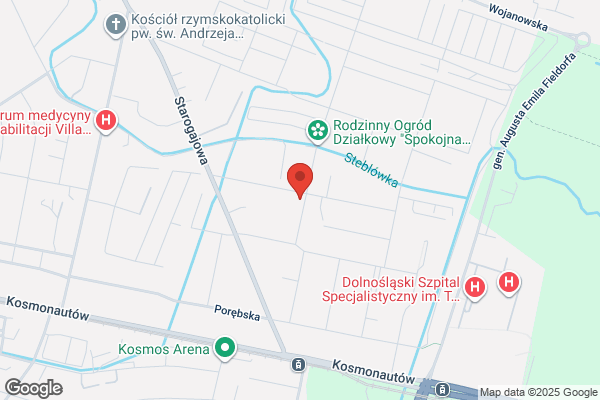 JBS. Dzialalnosc psychologiczna. Burger-Skrzypczynska J.