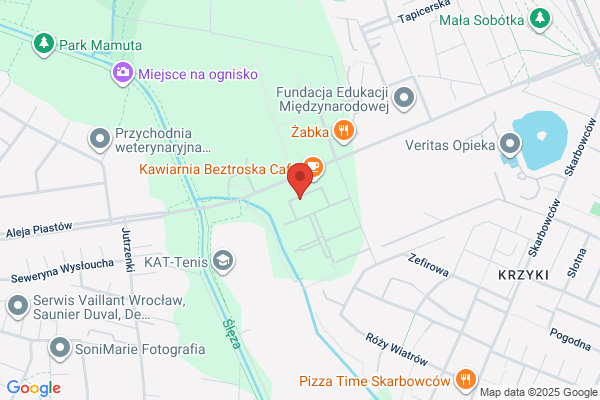 Rachunkowosc Podatkowa i Zarzadcza. M. Parys, W. Woszczyna