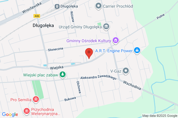Uryzaj Irena. Czesci do Skody