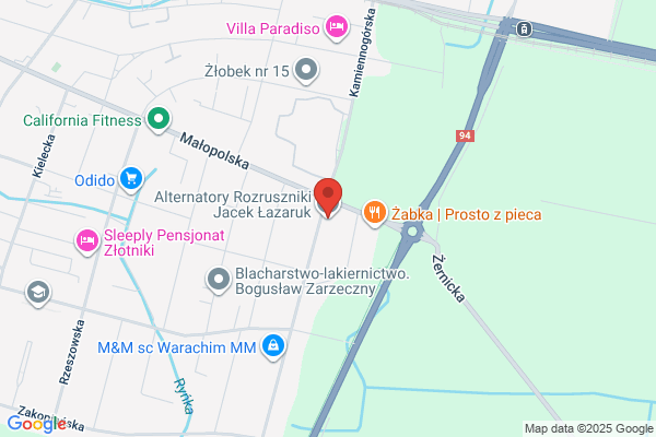 Lazaruk Stanislaw. Elektryk samochodowy