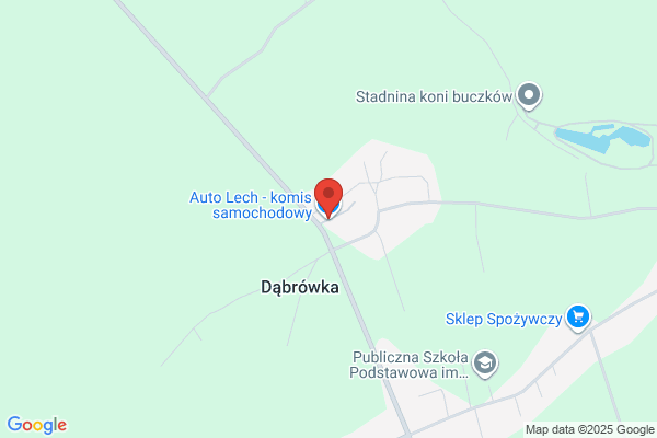 Lech. Komis samochodowy