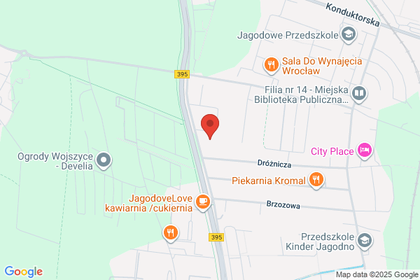 Regeneracja DPF i FAP Tomasz Słomiński