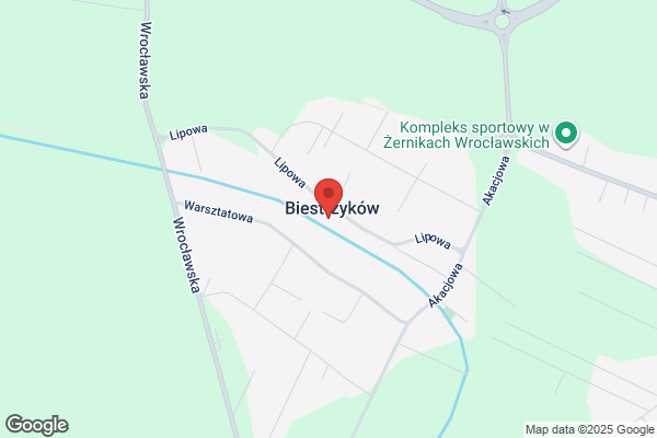 Wróblewski. Sadzonki leszczyny wielkoowocowej