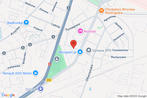 Anna Gondek Tłumacz Przysięgły J. Niderlandzkiego dr n. hum.