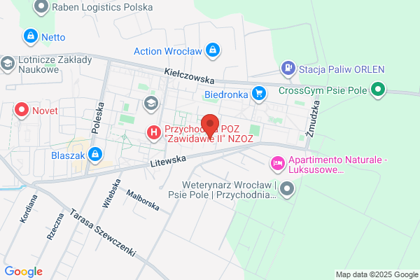 Pazda Ziemowit, mgr. Tlumacz przysiegly jezyka francuskiego i wloskiego
