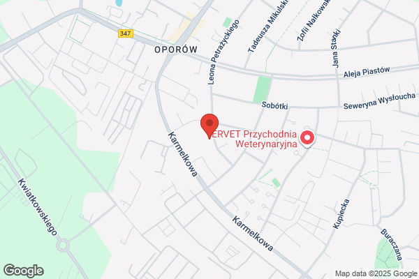 Bus Travel. Wynajem autokarów i mikrobusów