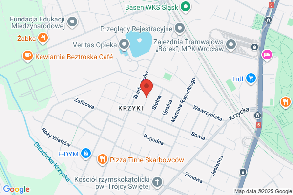Gadomski Wojciech. Transport ciezarowy krajowy i zagraniczny. Przeprowadzki