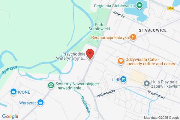Bernacki Wojciech. Przychodnia Weterynaryjna