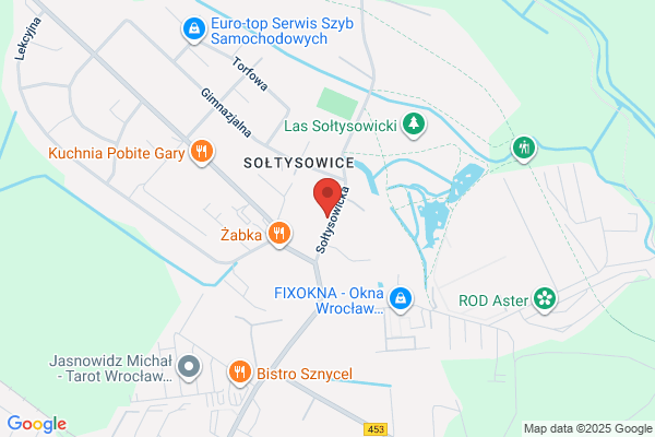 Wroclawskie Hospicjum dla Dzieci, Wyjazdowy Zespól Opieki Paliatywnej