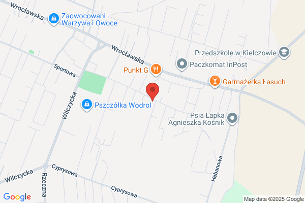 Aport. Zaklad szkolenia psów. Tomon M.