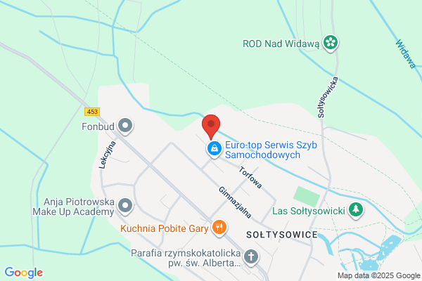 Millanion. Pulikowska-Klimonda A.