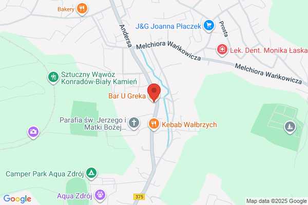 Corso. Bar gastronomiczny. Lewicki K.