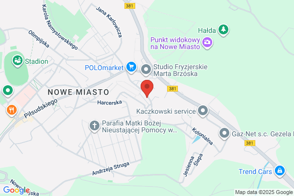 Stramel Czeslaw. Posrednictwo ubezpieczeniowe