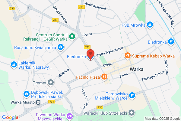 Biedronka. Dyskont spozywczy