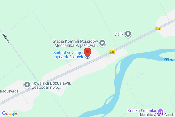 Sadpol SC. Skup i sprzedaz jablek