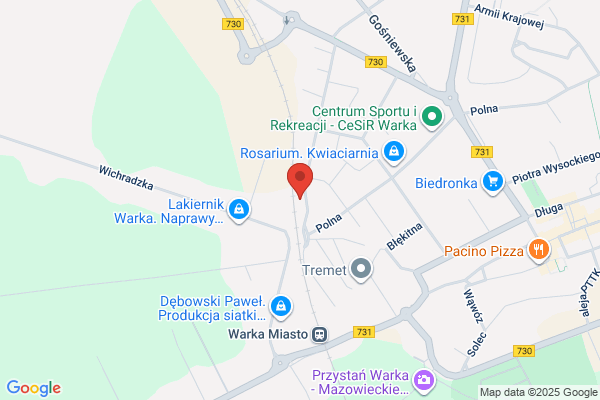 Strzalkowski Tomasz. Autoelektryka i elektronika samochodowa