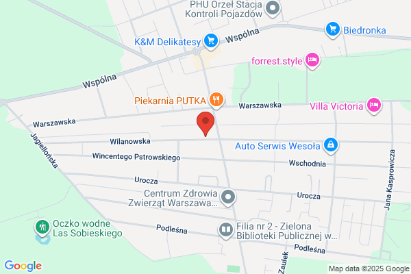 In Fidem. Tlumaczenia jezyka francuskiego, angielskiego i rosyjskiego
