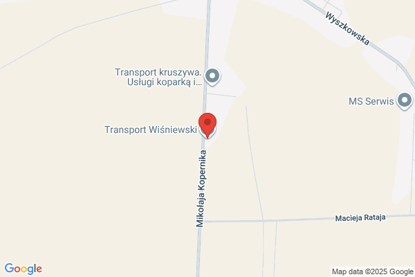Wisniewski R. Transport samochodowy