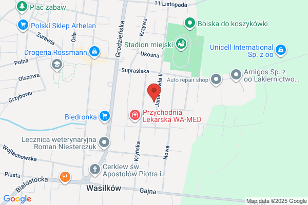 Auto & Diesel Service. Mechanika i elektromechanika pojazdowa